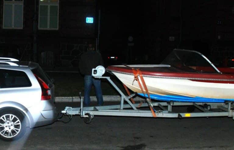 Zabrał potrąconą sarnę, odpowie przed sądem