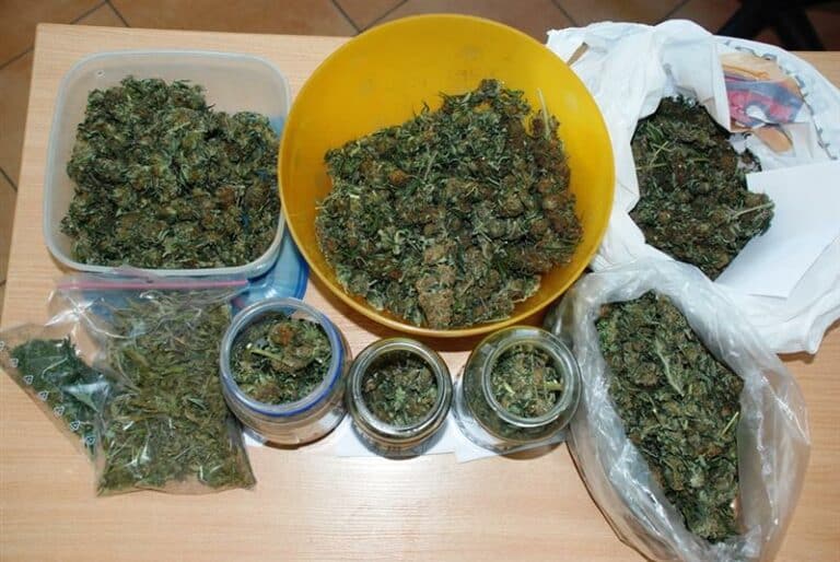 Zabezpieczyli blisko 600 gramów suszu roślinnego oraz specjalistyczny sprzęt służący do uprawy marihuany