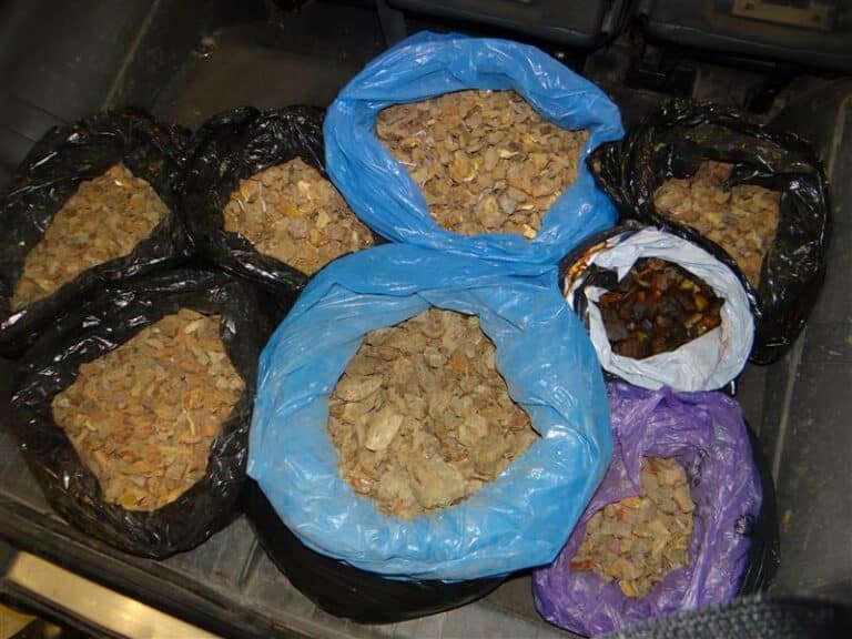 Bursztyn z przemytu sprzedany za ponad 150 tys. złotych