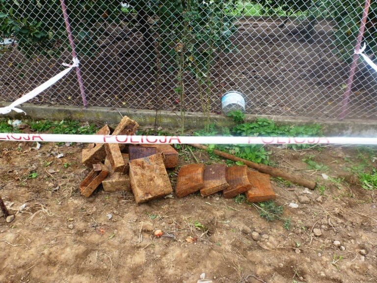 Policjanci zabezpieczyli amunicję przeciwlotniczą z czas&oacute;w II wojny