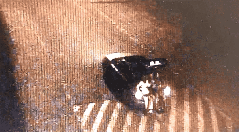 Pijani studenci z Kortowa podróżowali w bagażniku samochodu