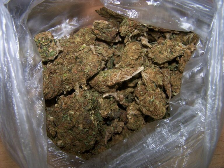 Narkotyki w samochodzie. Czy kierowca był pod wpływem marihuany?