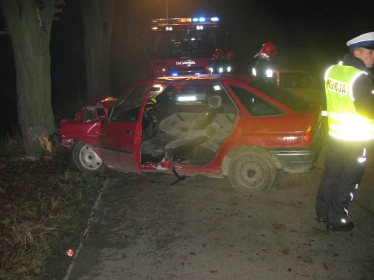 Zaparkował samoch&oacute;d na drzewie