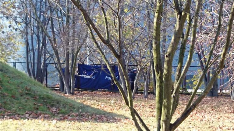 Znaleziono zwłoki nastolatka za przystankiem koło Galerii Warmińskiej