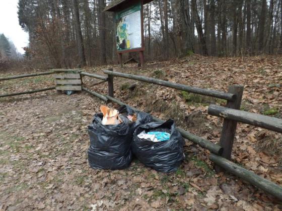 Leśnicy wiedzą, kto im podrzucił śmieci. To nauczyciel z Wrocławia Wiadomości