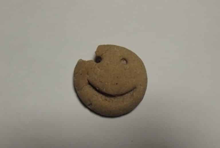 Odurzające ciasteczka nastolatki z Mazur