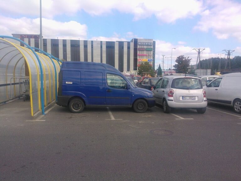 "Mistrzowie" parkowania prezentują swoje umiejętności