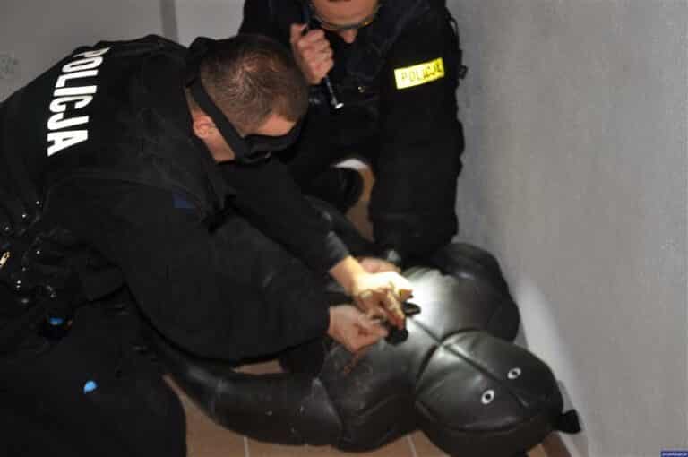 Kolejne paralizatory dla policji