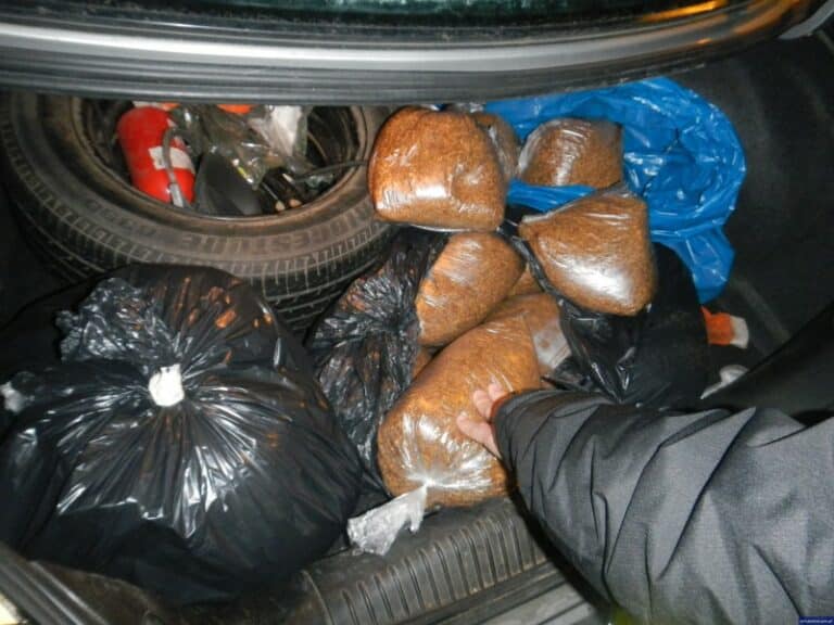 Przewoził nielegalny tytoń za ponad 10 tys. zł