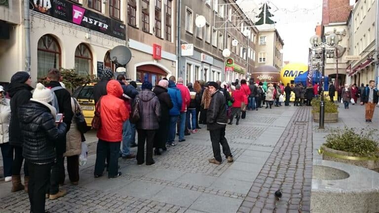 Darmowe choinki na starówce