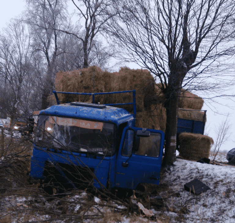 Zderzenie na drodze wojew&oacute;dzkiej. Ranna kobieta w szpitalu