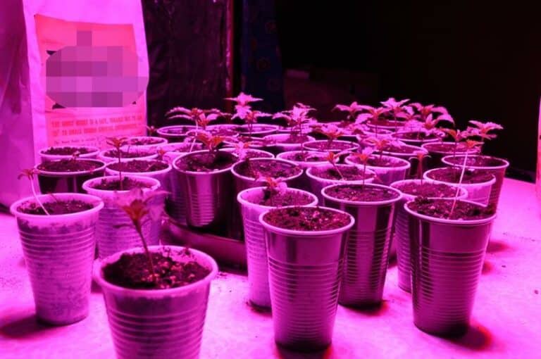 Zlikwidowali linię produkcyjną środków odurzających, zabezpieczyli blisko 2,5 kg narkotyków