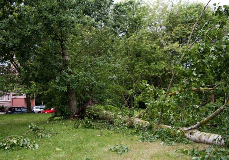 Ponad 8 tys. mieszkańc&oacute;w bez prądu