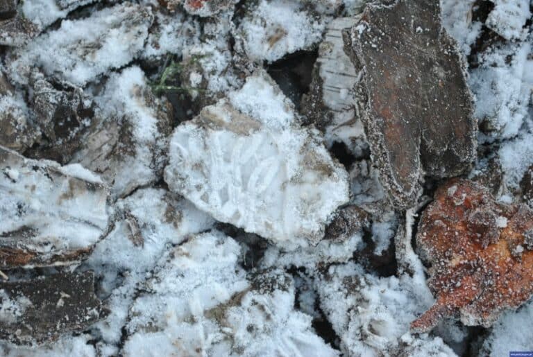 Po nitce do kłębka, po bucie do&hellip; sprawcy