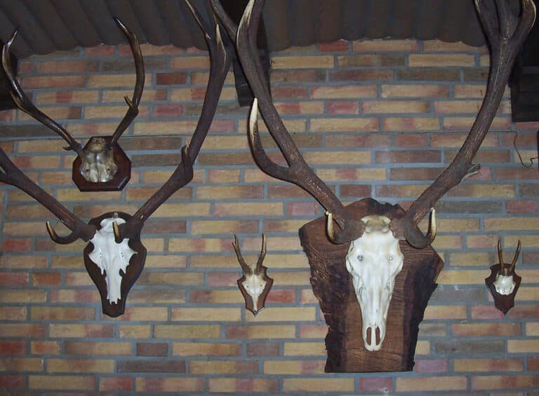 Sukces olsztyńskiego naukowca