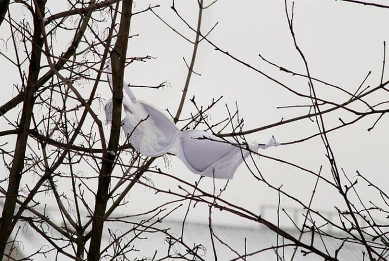 A na drzewach zamiast liści… figi, stringi i staniki