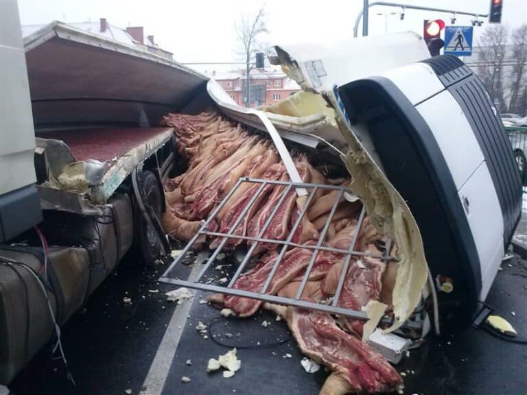 Półtusze wieprzowe zablokowały al. Warszawską