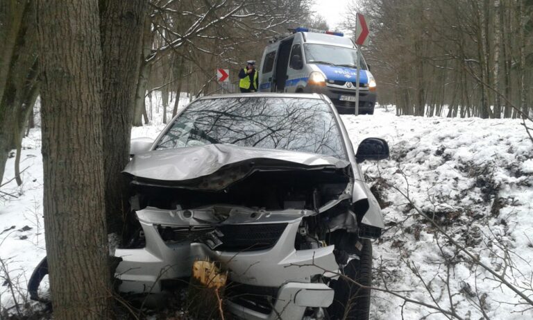 Szukała w torebce telefonu, po czym uderzyła w drzewo. Miała p&oacute;ł promila
