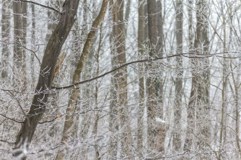 Kolejne skoki temperatury. Sprawdź prognozę pogody