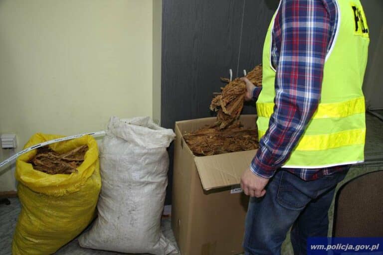 Miała 20 kg nielegalnego tytoniu &ndash; wszystko na własny użytek