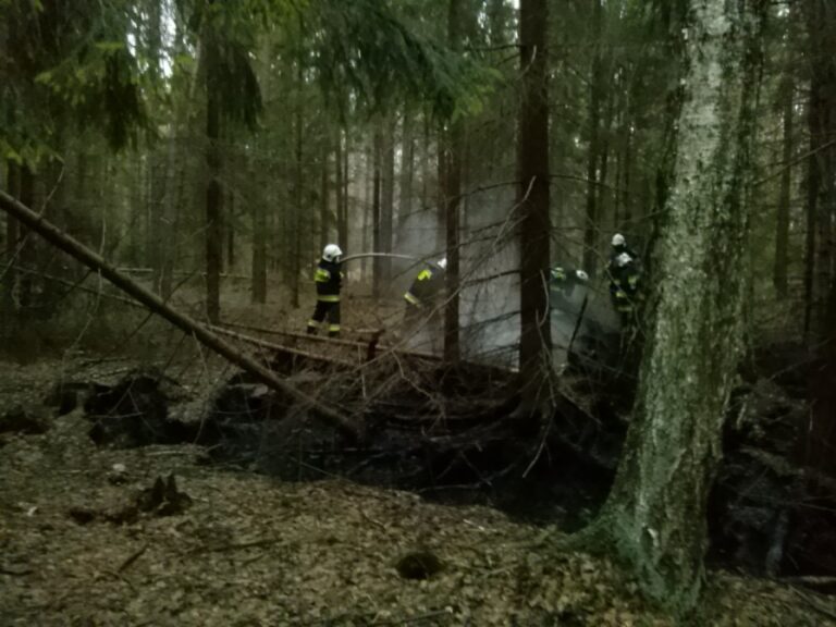 Pożar lasu zimą &ndash; czy to możliwe?