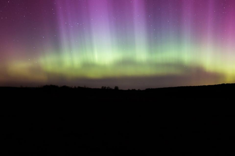 11067775_1566355646950065_7950618765427303482_n