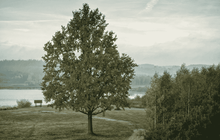 Otwarty plener fotograficzny nad Jeziorem Kielarskim