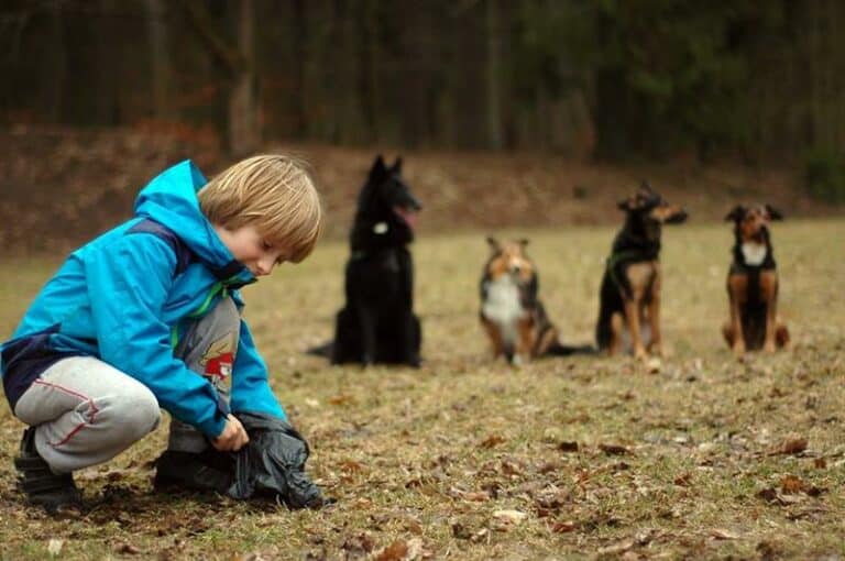 Wszyscy sprzątają&hellip; sprzątnij i ty!