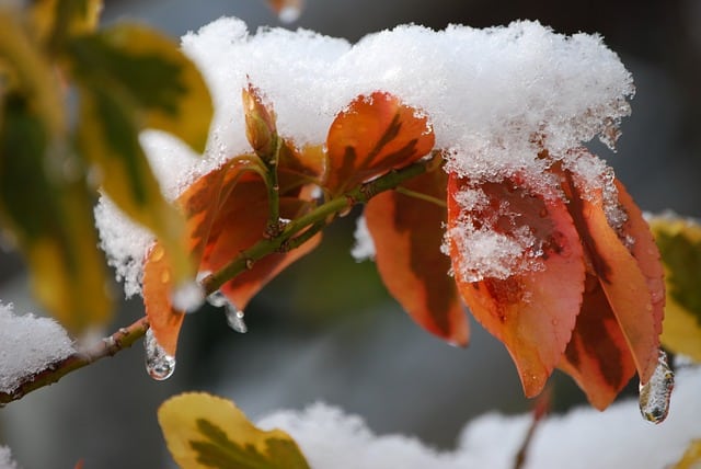 Pierwszy śnieg na Warmii – czeka nas zimowa aura?