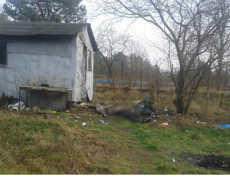 Zwłoki na działkach koło Kortowa