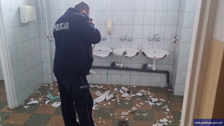 Nastolatkowie odpowiedzą za zdewastowanie szkoły i zniszczenie 19 aut