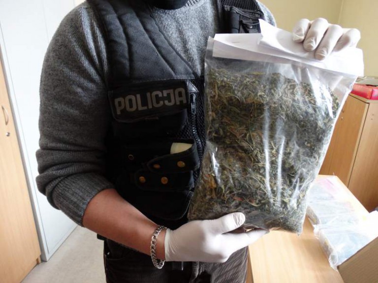 900 działek dilerskich wpadło w ręce policji