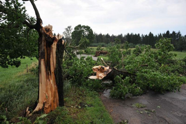 Uwaga na silny wiatr