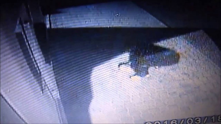 Chciał wejść do sklepu przy pomocy kamienia. Nagranie z monitoringu