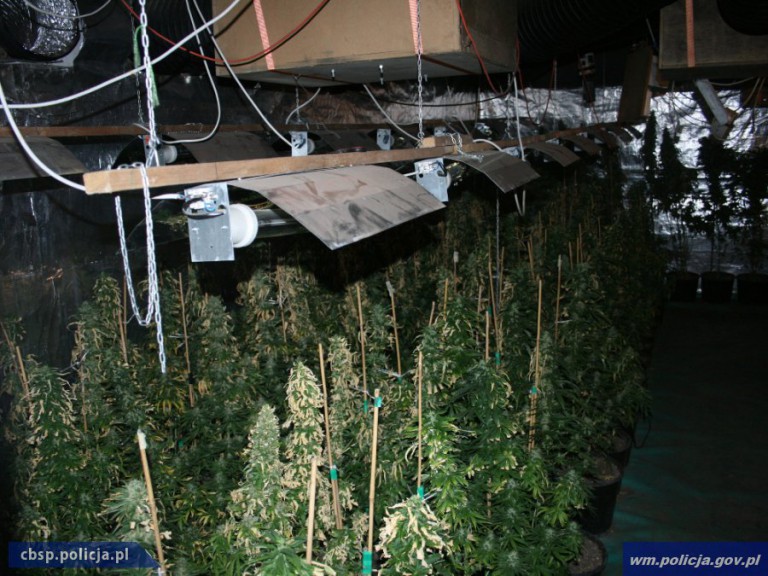 Policjanci z Olsztyna zatrzymali hurtowników. Przechwycono 20 kg narkotyków