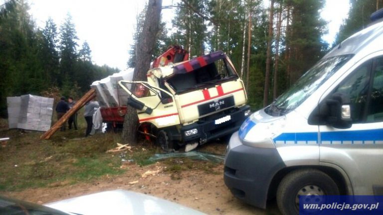 Ciężar&oacute;wka zjechała z drogi na pobocze i uderzyła w przydrożne drzewo