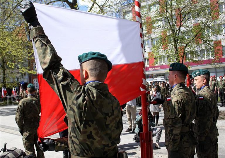 Wojew&oacute;dzkie obchody 3 Maja. Program