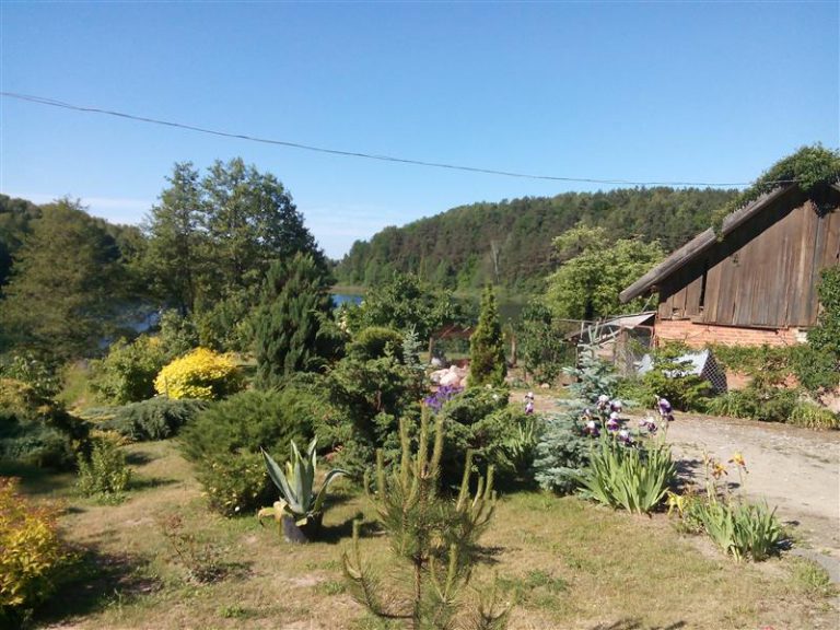 Rusza konkurs &bdquo;Czysta Wieś 2016&rdquo;. Na trzy zwycięskie wsie czeka 9 tysięcy złotych!