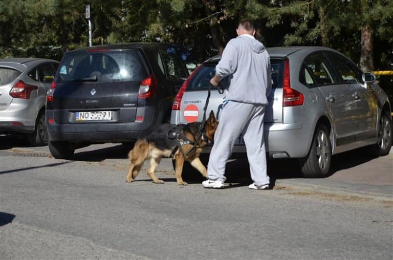 W Olsztynie przeprowadzą szkolenie antyterrorystyczne dla taks&oacute;wkarzy