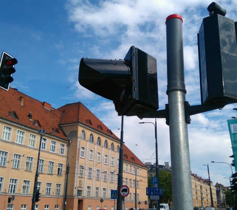 Rój pszczół przy przejściu dla pieszych w centrum Olsztyna