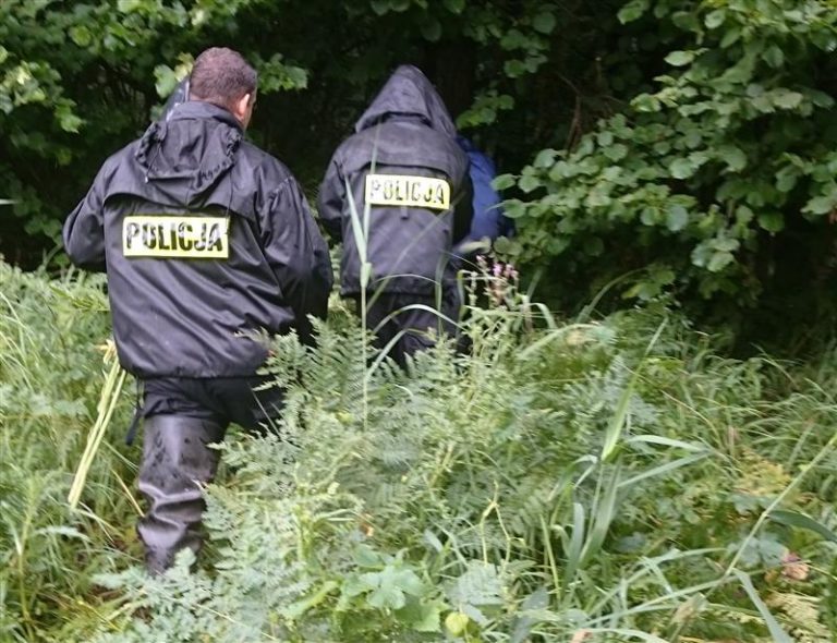 Policjanci zlikwidowali plantację marihuany