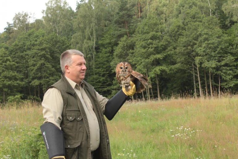 Kolejni ozdrowieńcy. Ze szpitala prosto do lasu