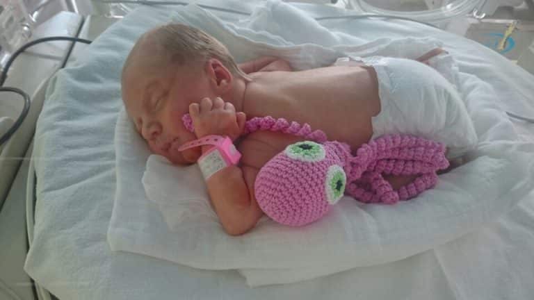 Wcześniaki ze Szpitala Dziecięcego w Olsztynie dostały w prezencie terapeutyczne ośmiorniczki