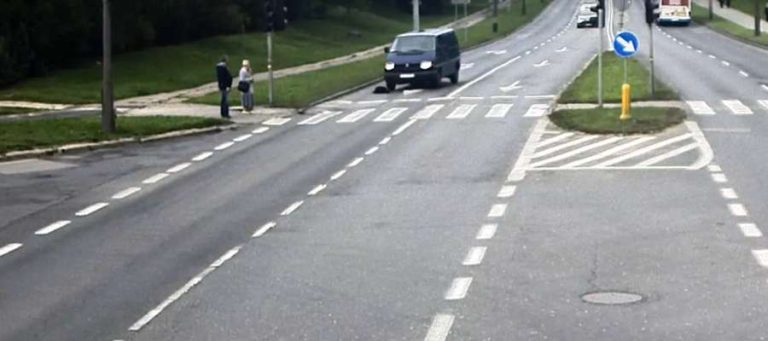 Potrącił psa przebiegającego przez jezdnię. Wycofał i ponownie po nim przejechał