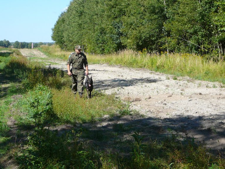 Straż graniczna ukarała grzybiarzy