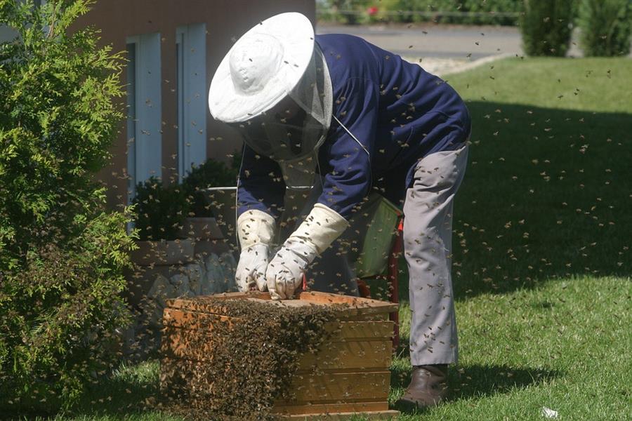 Ukradł sąsiadowi ul z pszczołami