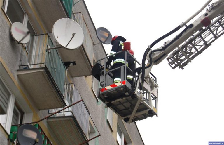 Nietypowa &bdquo;akcja ratunkowa&rdquo; podjęta wobec&hellip; kota