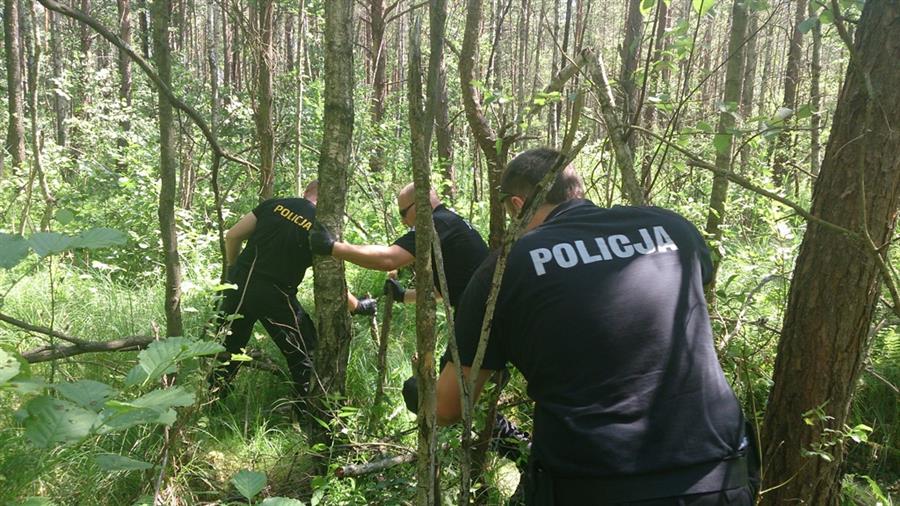 Mieszkańcy Olsztyna zgubili się w lesie, bo uciekali przed dzikami