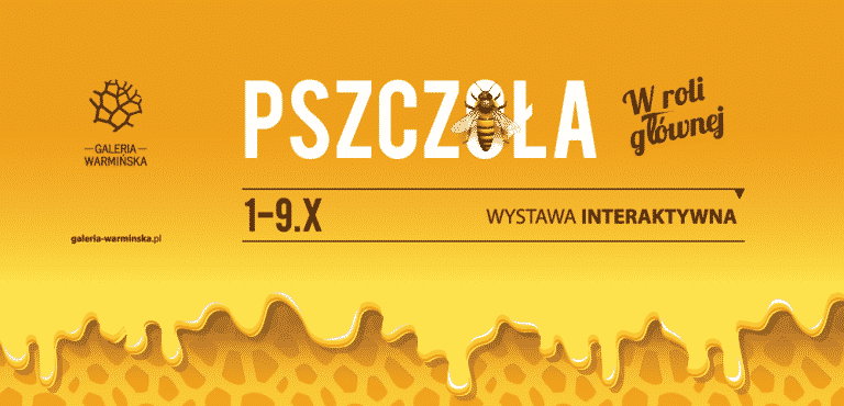 Pszczele opowieści w Galerii Warmińskiej czyli Pszczoła w roli głównej