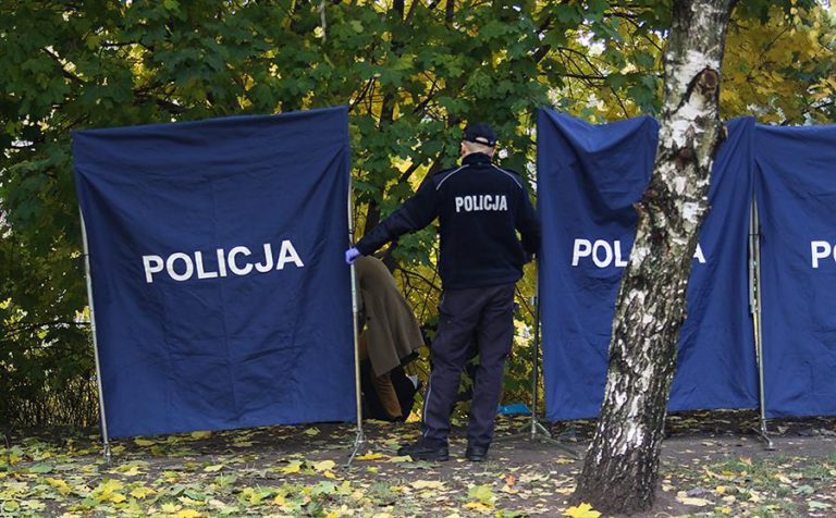 Znaleziono zwłoki w lesie. Policja prosi o pomoc w ustaleniu tożsamości